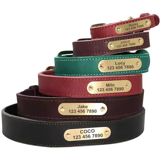 Everything About Personalized Dog Collars - Paw Loverly Image
