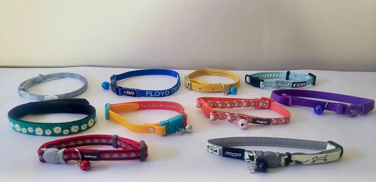 How to Choose the Right Personalized Collar for Your Cat - Paw Loverly Image