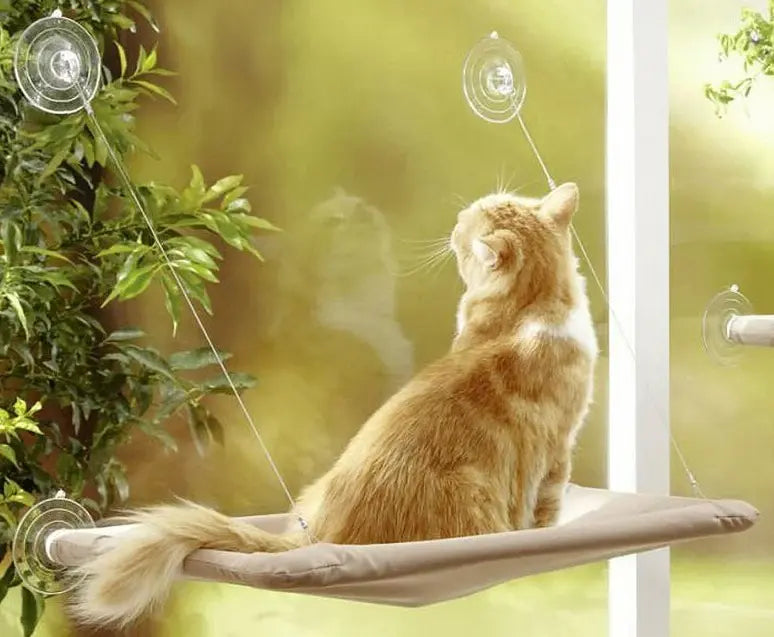 Is a Cat Hammock a Good Idea? - Paw Loverly Image