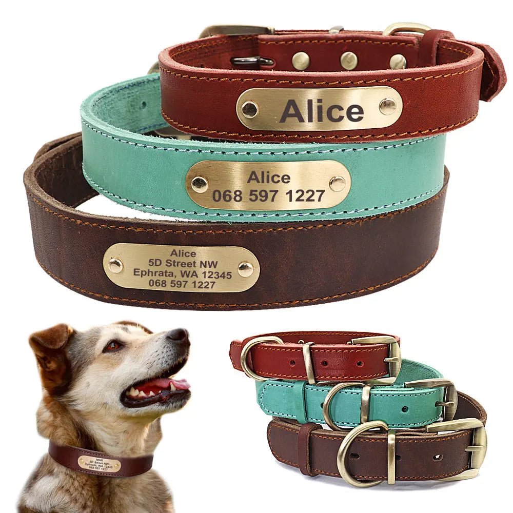 The 6 Key Advantages of a Personalized Dog Collar - Paw Loverly Image