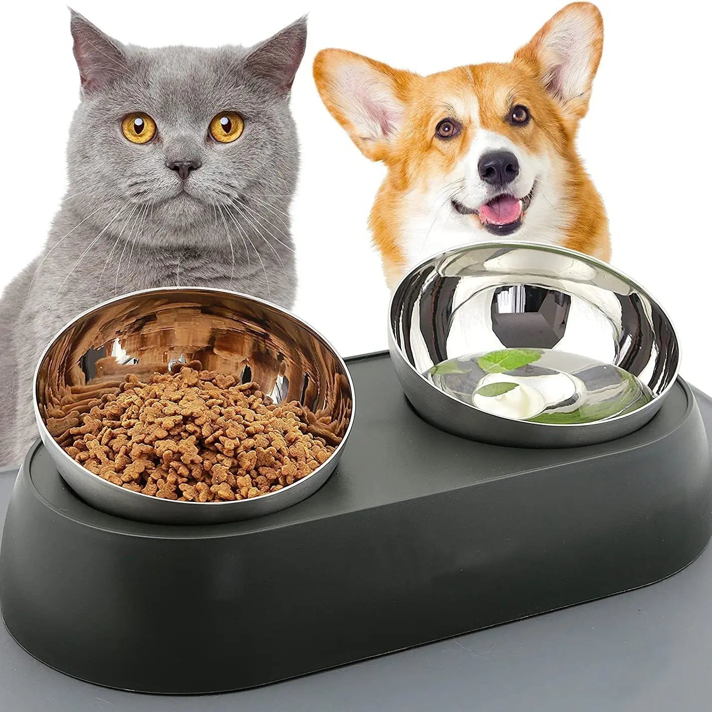 Why Dogs and Cats Must Eat from Stainless Steel Bowls - Paw Loverly Image