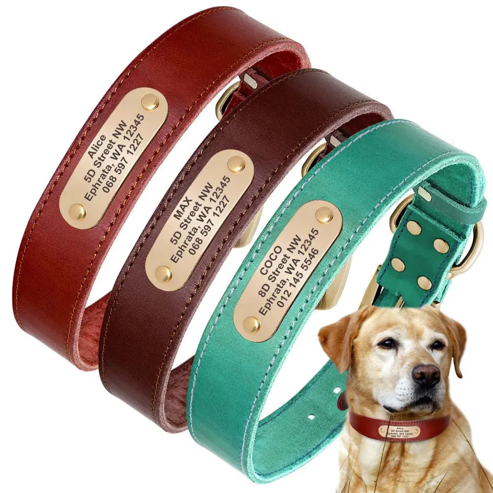 Customizable Leather Dog Collar - GemEmerald