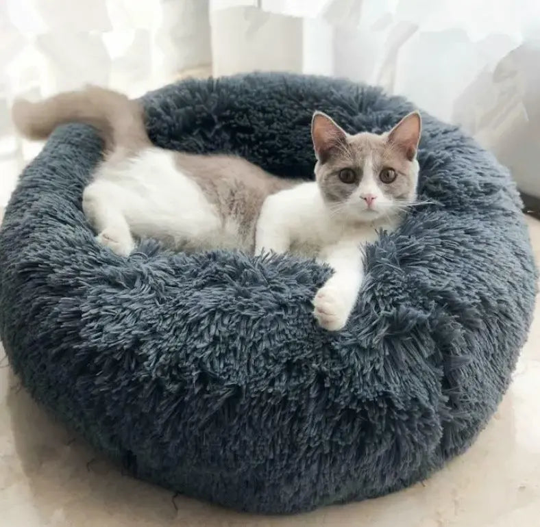 Fluffy Donut Dog and Cat Bed - Paw Loverly