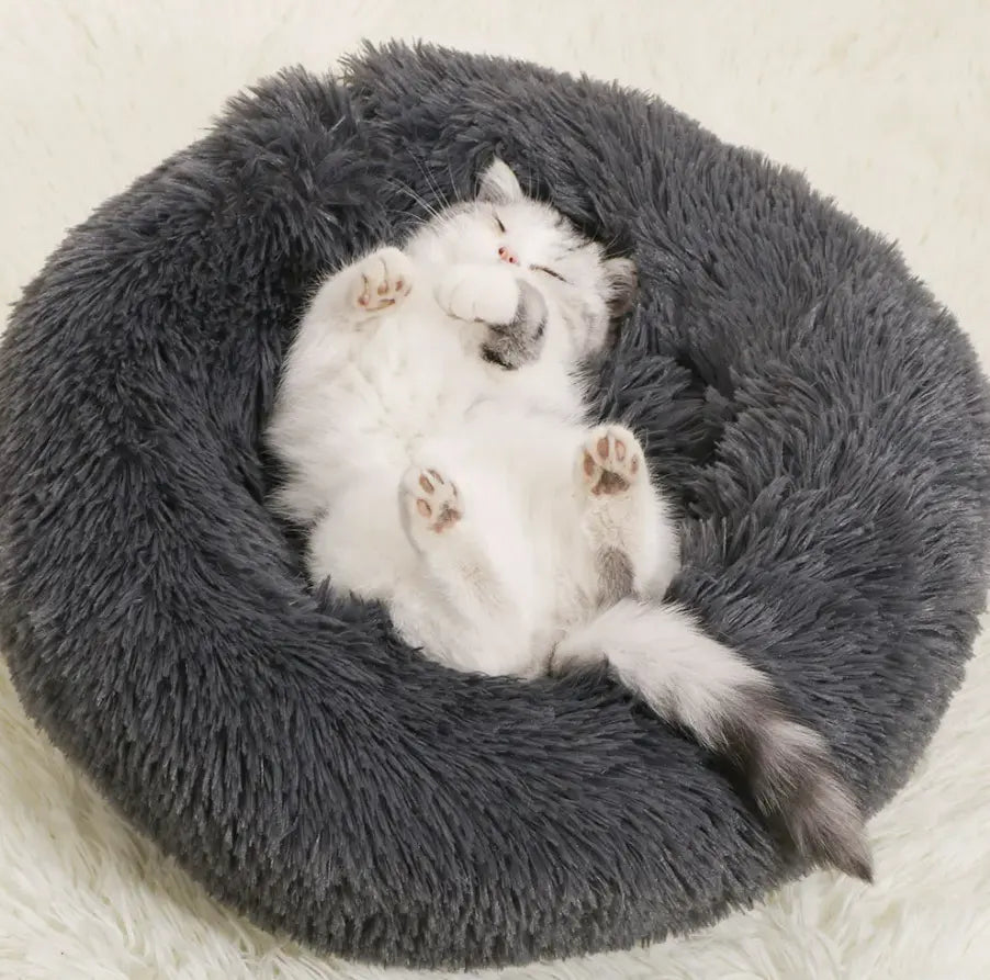Fluffy Donut Dog and Cat Bed - Paw Loverly