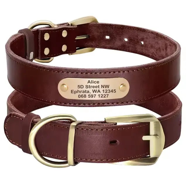 Personalized Dog Collar - Paw Loverly