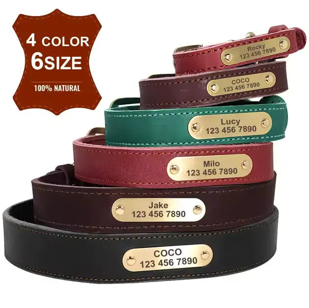 Personalized Dog Collar - Paw Loverly