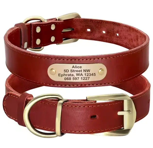 Personalized Dog Collar - Paw Loverly