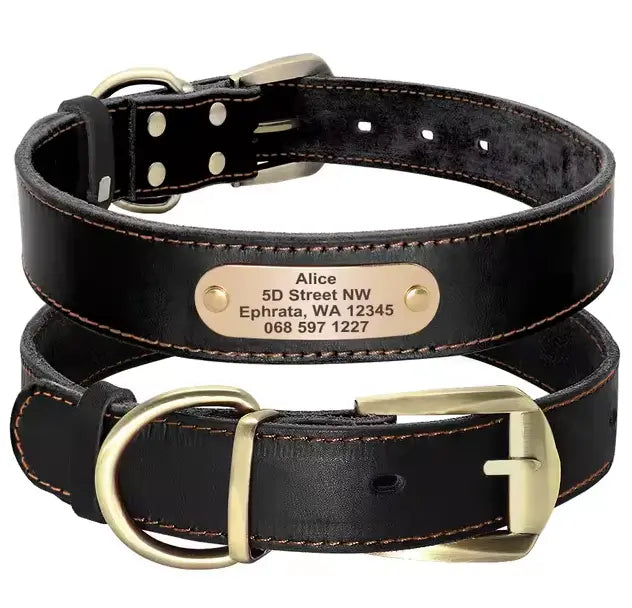 Personalized Dog Collar - Paw Loverly