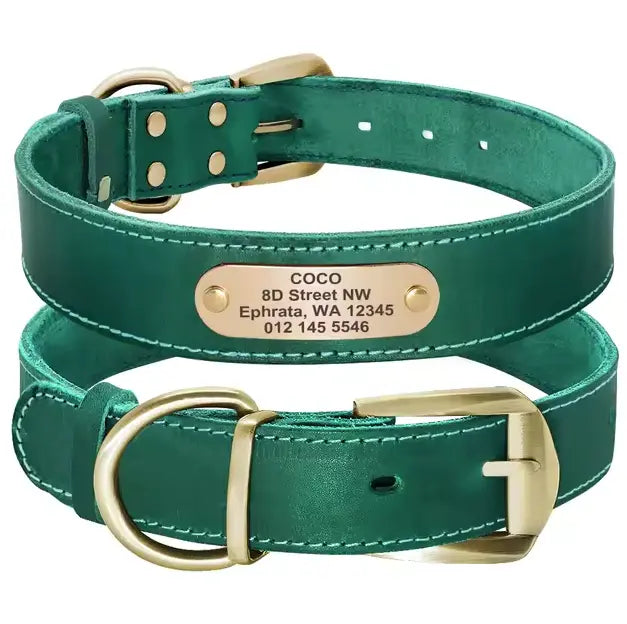 Personalized Dog Collar - Paw Loverly