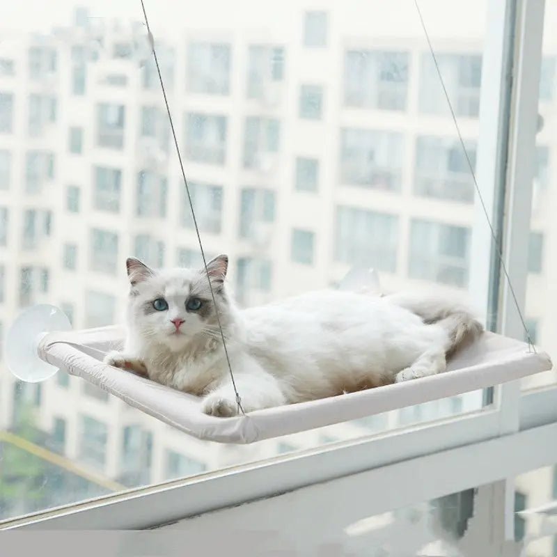 Pet Litter Sucker Hanging Cat Window Hammock - Paw Loverly