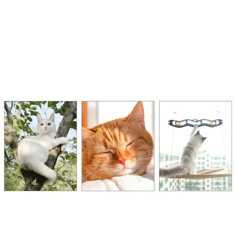 Pet Litter Sucker Hanging Cat Window Hammock - Paw Loverly