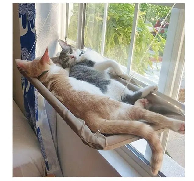 Pet Litter Sucker Hanging Cat Window Hammock - Paw Loverly