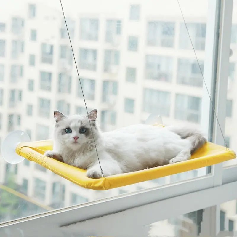 Pet Litter Sucker Hanging Cat Window Hammock - Paw Loverly