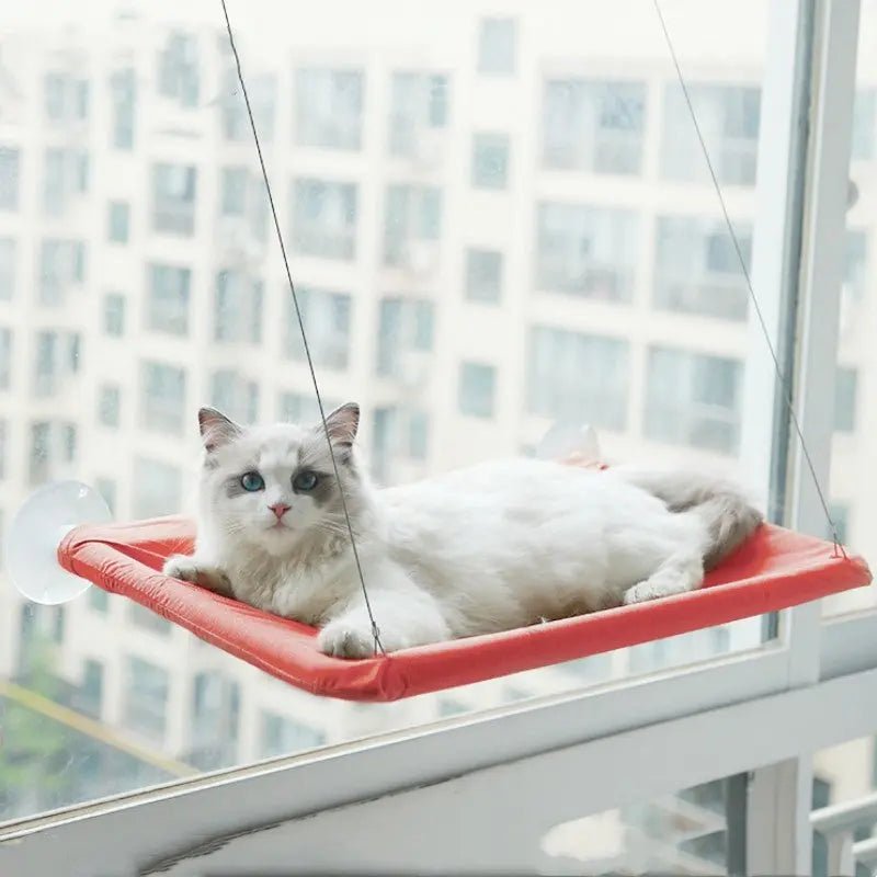 Pet Litter Sucker Hanging Cat Window Hammock - Paw Loverly
